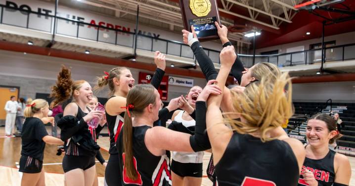 Net gain: Skiers volleyball statebound