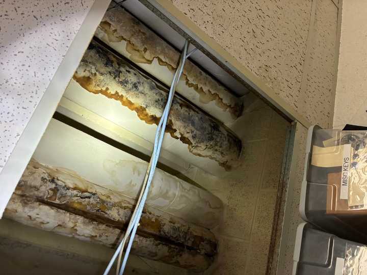 City Council proposal would test for mold, air quality at Flint PD