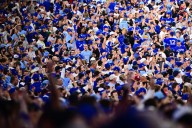What did the Toronto Blue Jays playoff run mean to you? Share your story