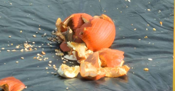 Pumpkin Smash focuses on the importance of composting
