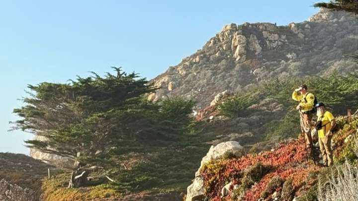 Search continues for 5-year-old swept into ocean in Big Sur