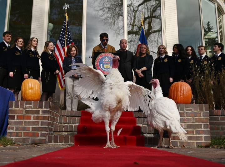 Put political pique aside by considering Thanksgiving's origins (Opinion)