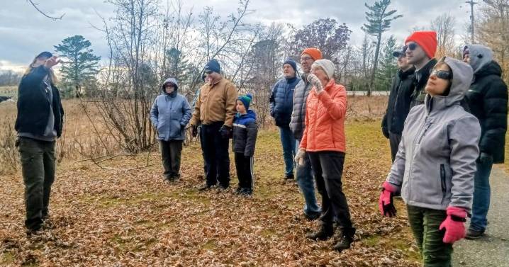 Bark, buds, branching clues to look for in winter tree ID’ing
