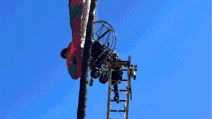 Rescuers save motorized paraglider rider from large palm tree in Southern California