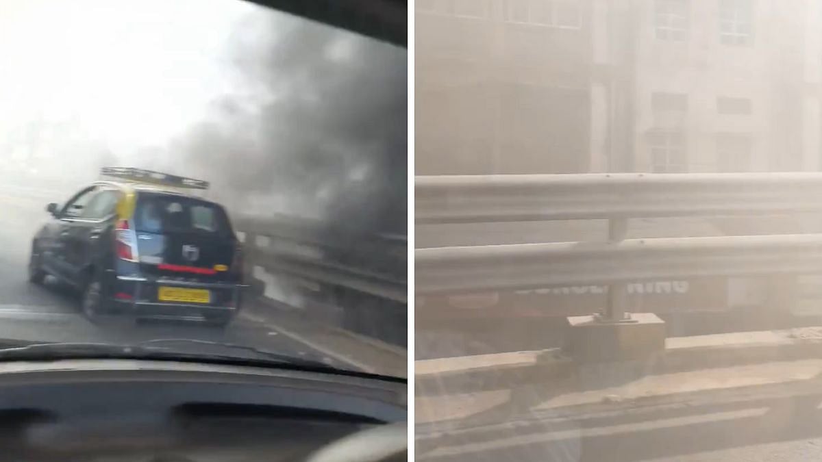 Mumbai: Fire Breaks Out In Scrap Items Kept Under Bridge Near Byculla Station; Video Shows Thick Smoke Disrupting Visibility