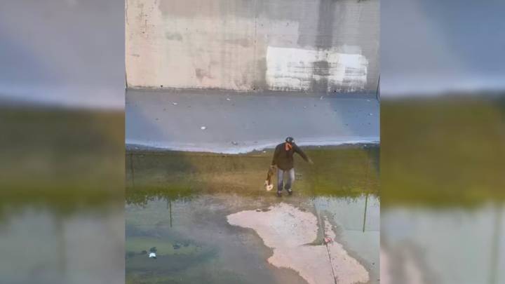 California Puppy Struggles In Canal Until A Brave Rescue Changes Everything