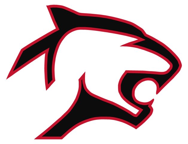 Ian Premer, Minton spark Panthers 28