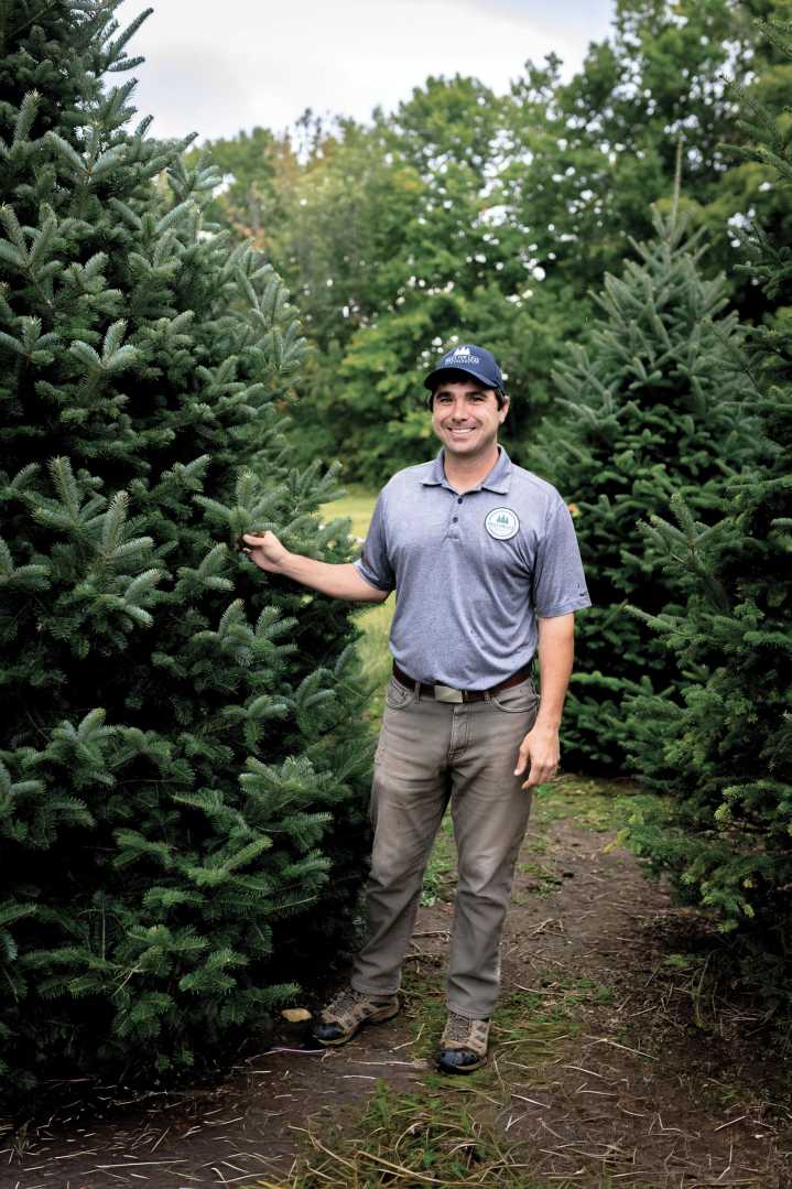 How Do Local Christmas Tree Farms Stay Alive in 2025 and Beyond?