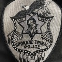 Presumed drowning in Spokane River during police pursuit