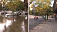 Extremadura se recupera del temporal en una jornada de limpieza y evaluación de daños