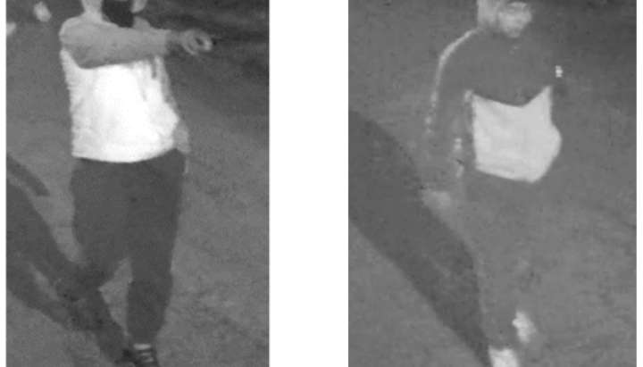 2 men sought in assault on 15-year-old girls in Ravenswood Manor