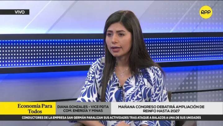 Diana Gonzales: Víctor Cutipa "se está lavando las manos en lo absoluto" ante prórroga del Reinfo