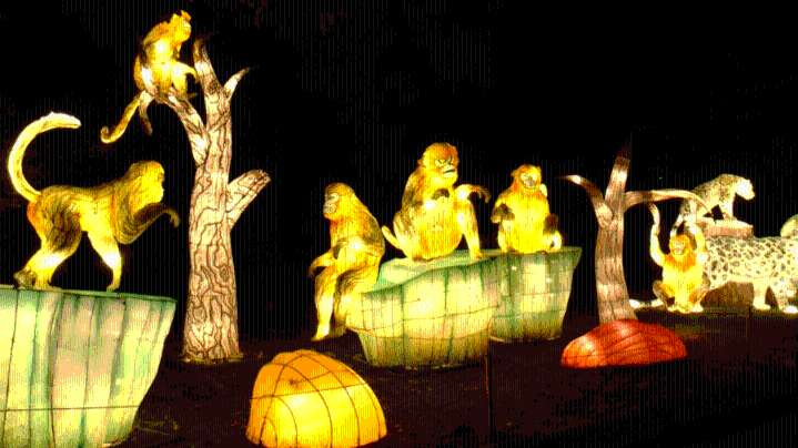 Little Rock Zoo spreading holiday spirit with GloWild event