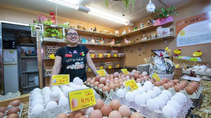 Claves: ¿Cómo afecta la gripe aviar al precio de los huevos?¿Dejaremos de encontrar huevos camperos en las tiendas?