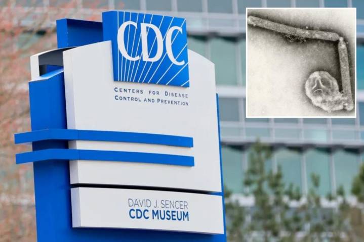 Washington state resident first to die from rare strain bird flue H5N5