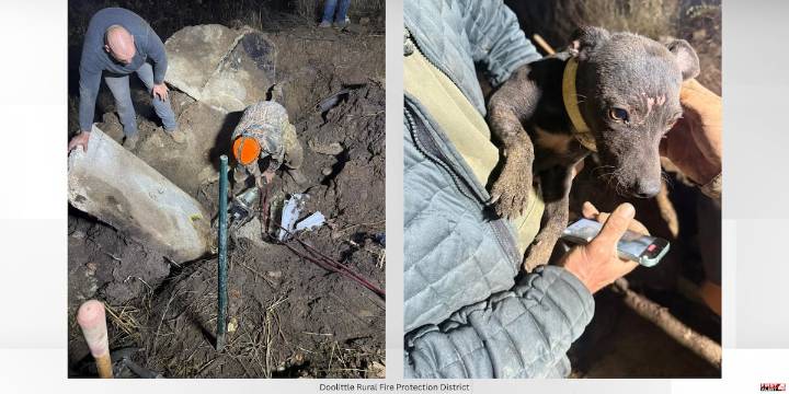 PHOTOS: First responders rescue dog stuck in “12