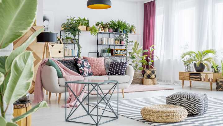 The Healing Houseplant That Can Thrive With Low Levels Of Light