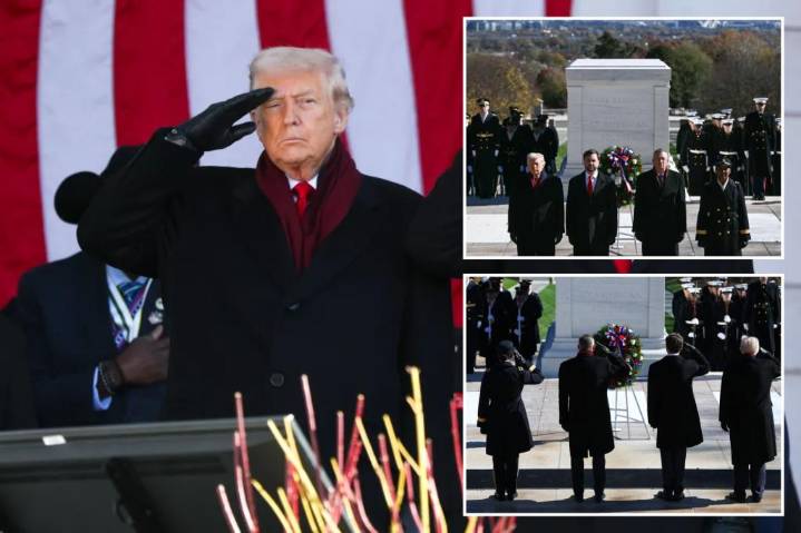 Trump declares Veterans Day as 'Victory Day' in Arlington cemetery speech