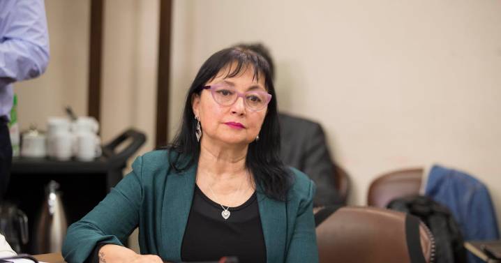 Diputada Carolina Marzán renuncia al PPD tras no lograr escaño al Senado por Valparaíso