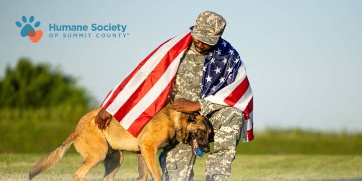 Veterans can adopt from Humane Society of Summit County for 50% off all November