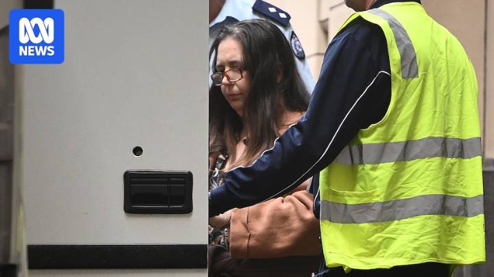 Erin Patterson lodges appeal request in attempt to fight mushroom murder convictions