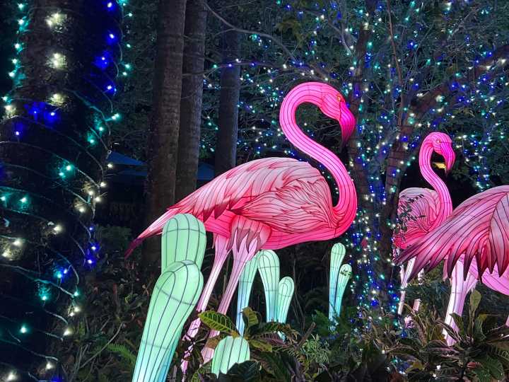 Aquatica Orlando’s Illuminate debuts as company tries to rebound from disappointing quarter