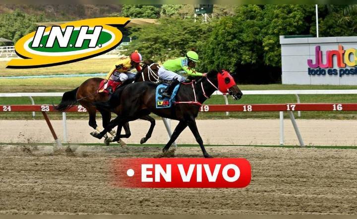 Resultados 5y6 La Rinconada EN VIVO HOY, domingo 30 de noviembre 2025: ganadores de todas las carreras, orden de llegada y premios del INH