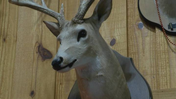 Modern gun deer hunting season starts in Arkansas this weekend
