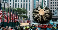 Rockefeller Center Christmas tree arrives in Manhattan, kicking off New York's holiday season