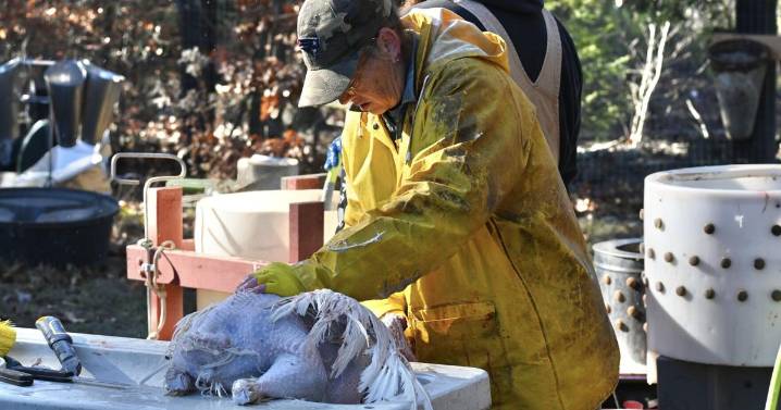 Fellow farmers come through to help after Hampton turkey farm fire
