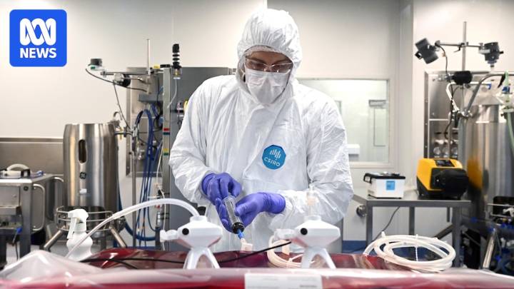 CSIRO chief defends job cuts amid fears for growth of scientific research in Australia