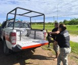 Rescataron a un yacaré en Pichanal: Apareció en una empresa