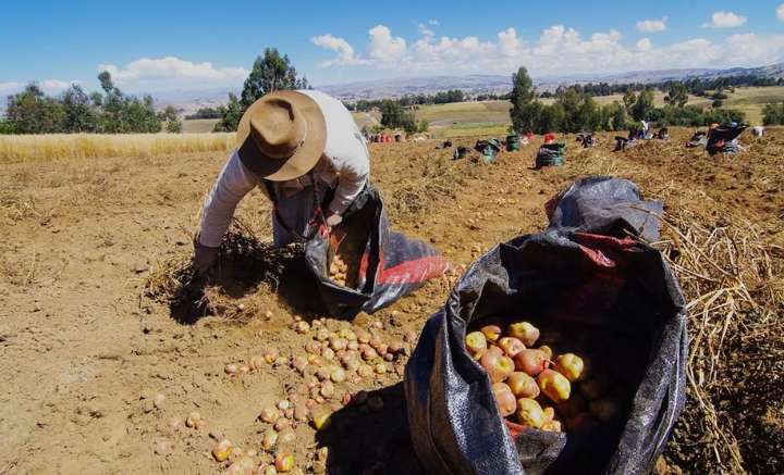 MEF: economía peruana creció 3.9 por ciento en setiembre pasado