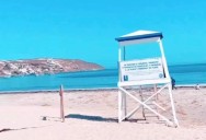 Exigen aclarar ofrecimientos de arriendos de espacios para Foodtrucks en Coquimbo