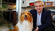 “Te despido con mucho dolor”: Alberto Fernández anunció la muerte de su perro Dylan