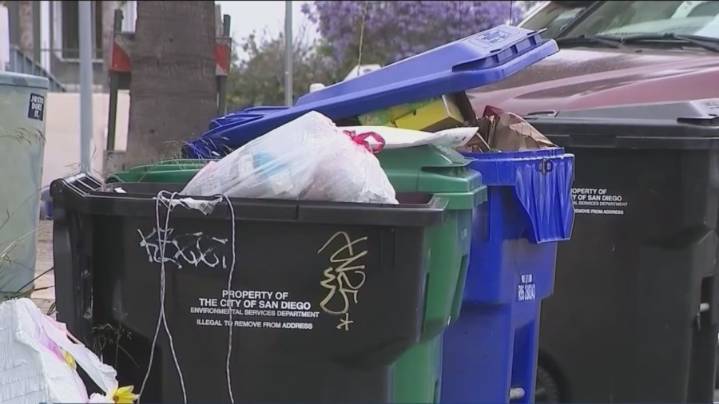 San Diego city inspectors are conducting checks on trash bins: this is why