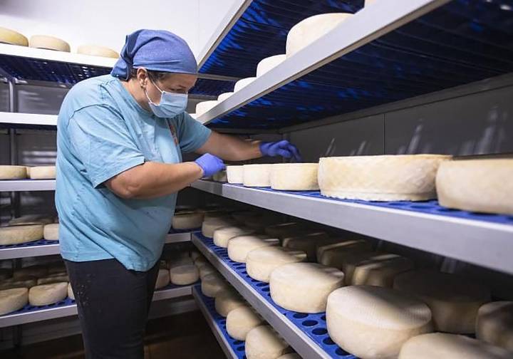 Dos platas y siete bronces para quesos grancanarios en la World Cheese Awards