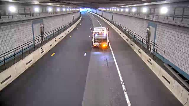Watch: Dog rescued from Boston tunnel during morning commute