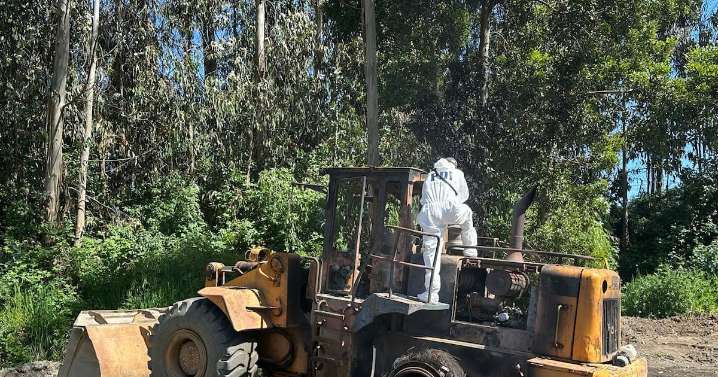 Nuevo ataque incendiario en La Araucanía: PDI desarrolla diligencias para hallar responsables