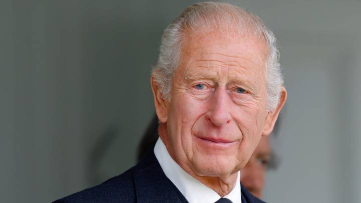 El rey Carlos presume su lado artístico y pone a la venta un valioso cuadro ¿dedicado a la princesa Diana?