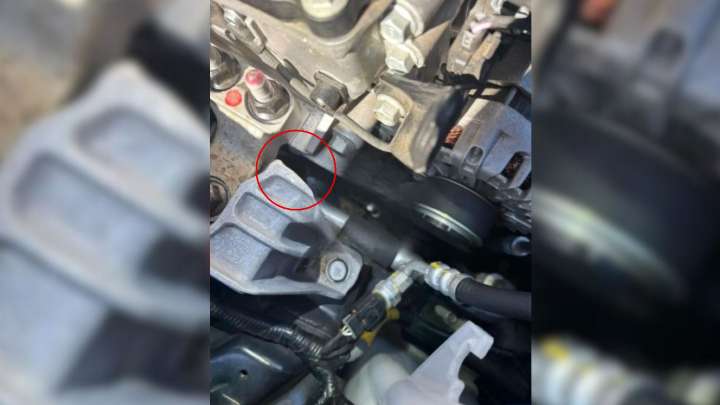 Mississippi Woman Opens Car Hood And Finds A Hidden Family In Need