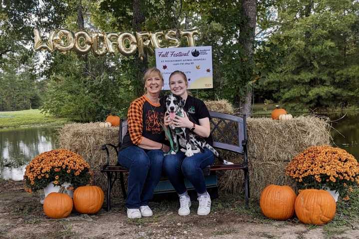 Fall festivals and Christmas markets: 11 events ...