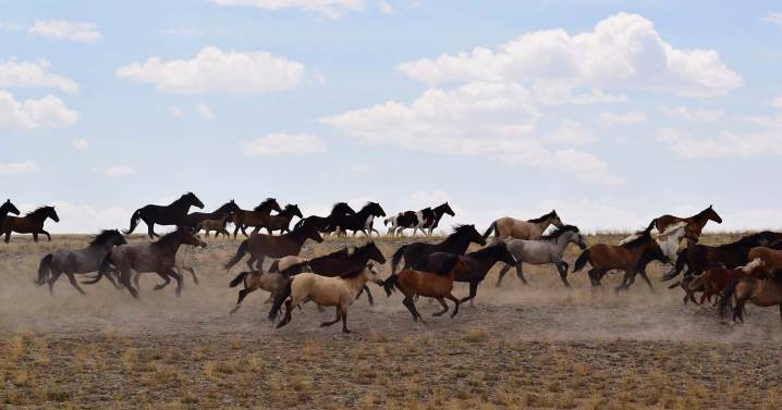 BLM Accepting Public Comments on Proposed RMP Amendment