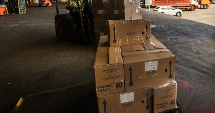 Los dos grandes ciclos de la globalización y el posible fin del libre comercio