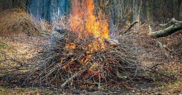Drought prompts burn ban in Waynesboro