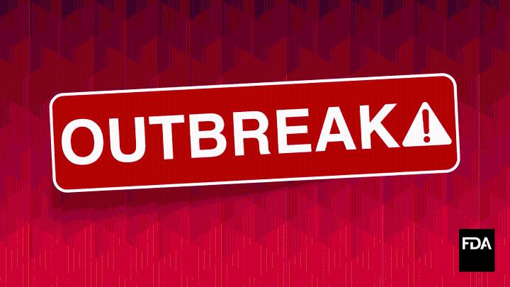 The Intricacies of Whole Genome Sequencing: Epidemiologists Tracing Food