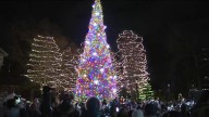 Quincy kicks off weekend of holiday activities with annual Christmas tree lighting