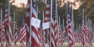 Communities across the Brazos Valley honor Veterans Day