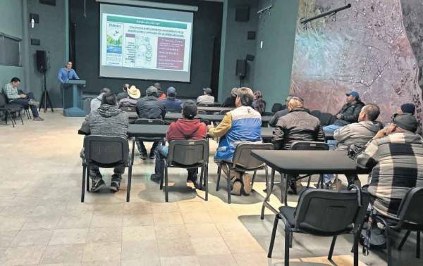 Multarán a quien pode sin acreditarse