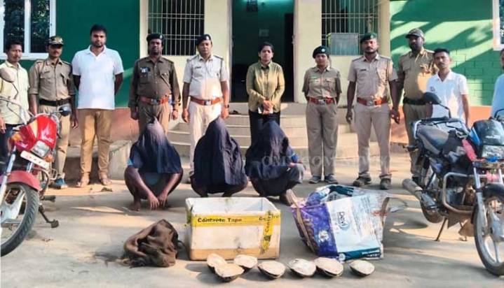 Forest Officials Seize 85 Indian Flap Shell Turtles In Malkangiri; Three Arrested